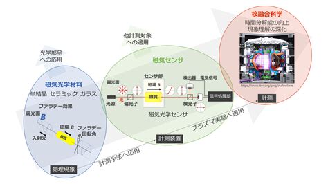 磁場影響|磁場の生体影響研究の必要性｜国環研ニュース 9巻｜国立環境研 